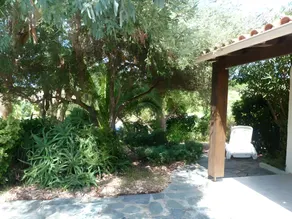 A Pineta - Image 3