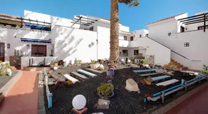 Galcanary - Image 3