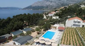 Larisa - Image 4