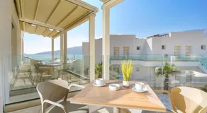 Synthea Suites - Image 3