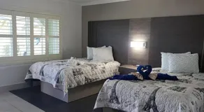 Apollo Inn - Cocoa - Image 3