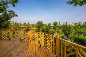 Nantong Sendi Tribe Treehouse - Image 3