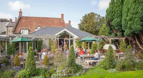 The Swan - Image 5