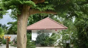 Rai Win Resort - Image 4