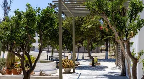 Green Dream Tinos - Image 3
