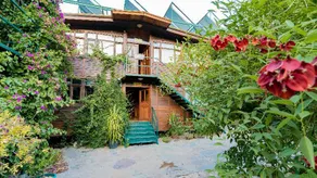 Turkmen Agac Evleri - Image 5