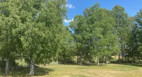 Björklunden - Image 5