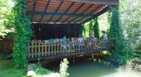 Ethno Village Slatkovac - Image 4