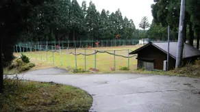 Royal Hajime - Image 3