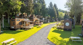 Landal Nature Parc Saint Hubert - Image 5