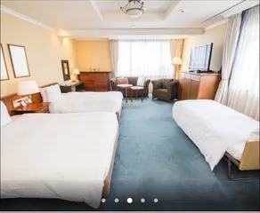 Sarawan Hotel  - Image 2