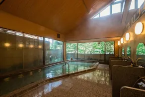 Yamagaso - Image 4