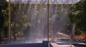 Dirghayu Farms Agri Resort Pvt Ltd - Image 4