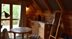 Hôtel Lodge du Lac Chambon - Image 3