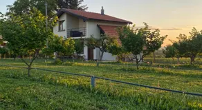 s t d -PARADISO- - Image 4