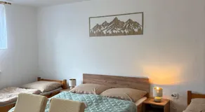 Privat DAŇO - Image 2