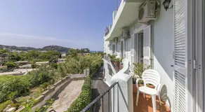 B&B Verde - Image 2