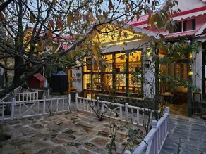 The Wilderness, Narkanda ,Shimla - Image 2