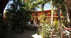 Samara Palm Lodge - Image 5