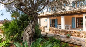 Sa Bassa - country house close to the village - Image 2