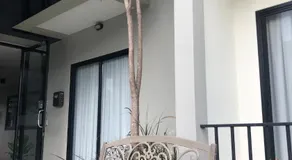 IM Residence Chiangmai - Image 5