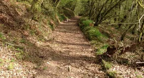 Little Woodacott - Image 5