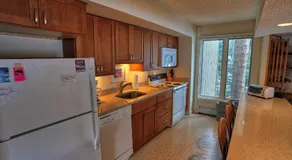 Gold Camp II E87 (Condo) - Image 2