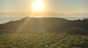 Villa Alexandros - Image 4