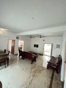 Mango ranch - Image 4