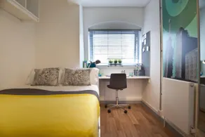 For Students Only CRM OLIB London - 5 mins walk to London Bridge - Image 2