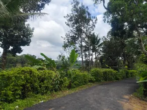 Tiger's corner Cottages and Plantation stay - Image 3