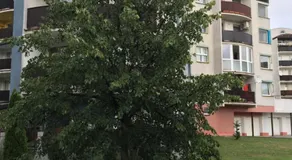 Apartment Tekeľova 95m2 - Image 3