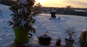 L'enchanteur - Image 5