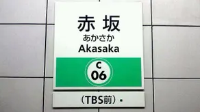 Akasaka Residence 8F - Image 5