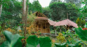 Finca Las Palmas Ecolodge - Image 5