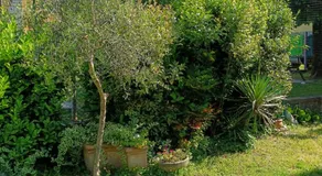 B&B Porte Rosse - Image 3