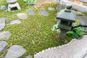 Kawamotoro HH6 - Heben Tower - Image 3