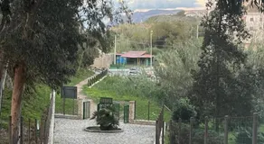 Archi - Image 3