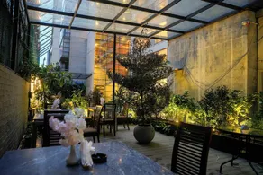 The Olives - Image 5