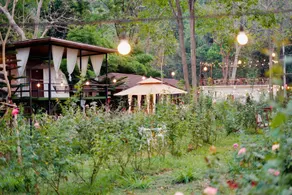 The Forest Camp Khao Yai - Image 5