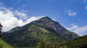 Cinnamon Crest Resort & Ayurveda Spa - Image 5