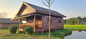 DGD Chiangmai - Image 3