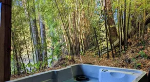 Serene Riverfront Cottage In Healdsburg Views Kayaks 1 5 Mile To Downtown - Image 3