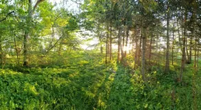 Molsness - Image 4