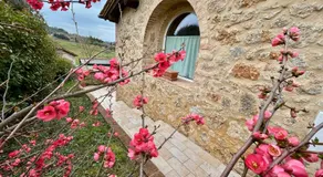La Capanna di Franco - Image 4