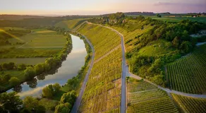 exNicrum Wein . Genuss . Hotel - Image 5
