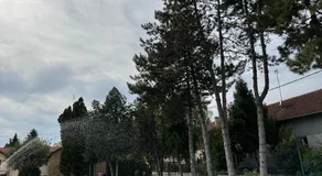 Bezdan Guesthouse - Image 3
