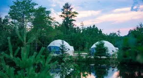 BreezyPetals Camping Resort - Image 3
