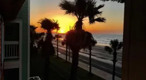 Dawn 823-At The Beach - Image 5