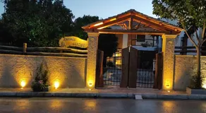 Orange Garden - Image 3